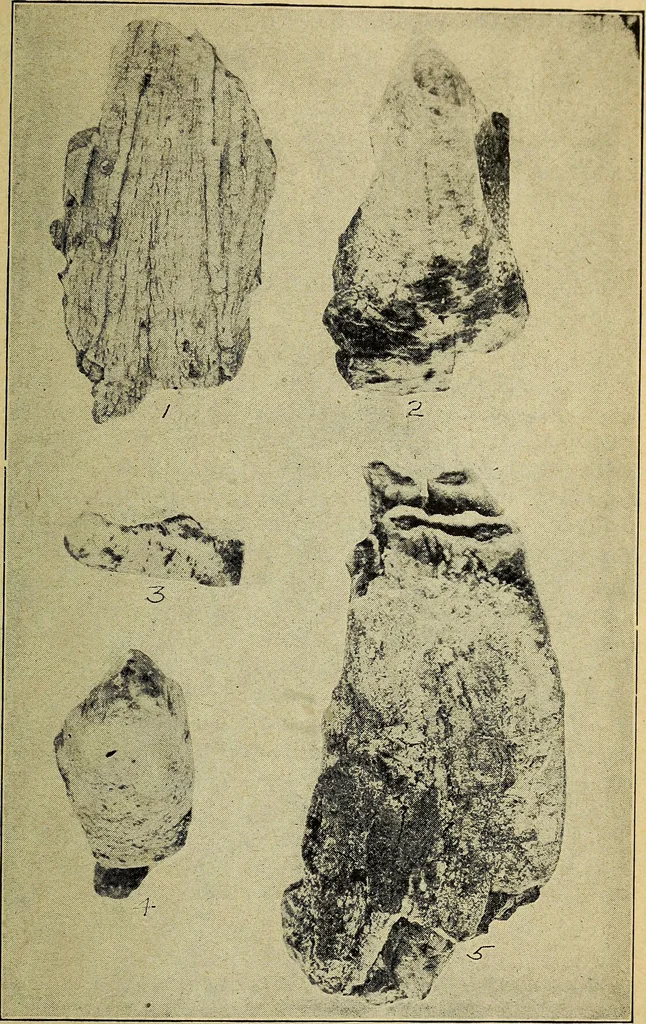 An illustration from Ohio archæological and historical quarterly, 1887, leaf 450