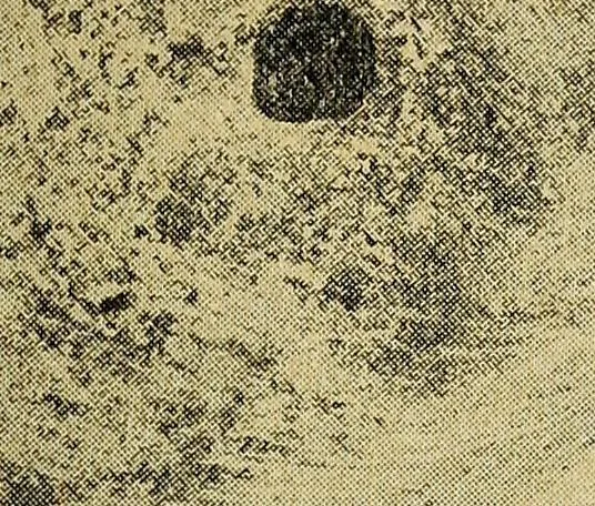 An illustration from Ohio archæological and historical quarterly, 1887, leaf 454