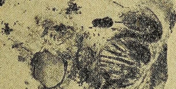 An illustration from Ohio archæological and historical quarterly, 1887, leaf 454