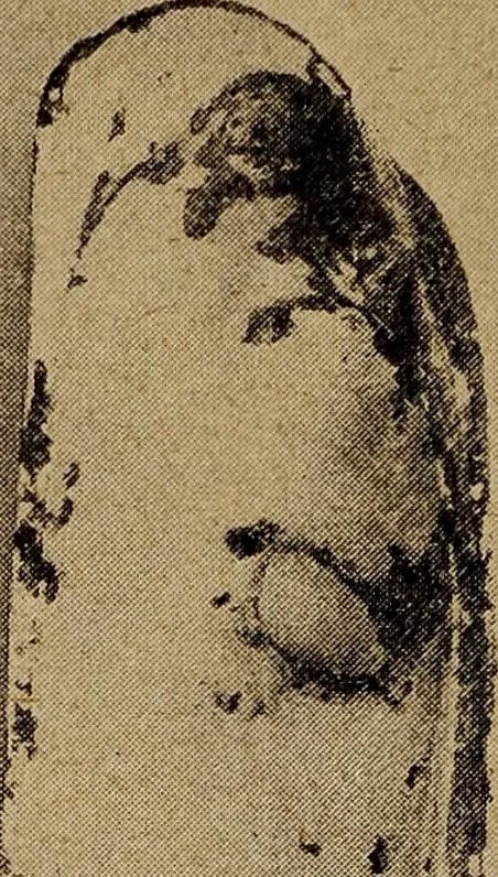 An illustration from Ohio archæological and historical quarterly, 1887, leaf 455