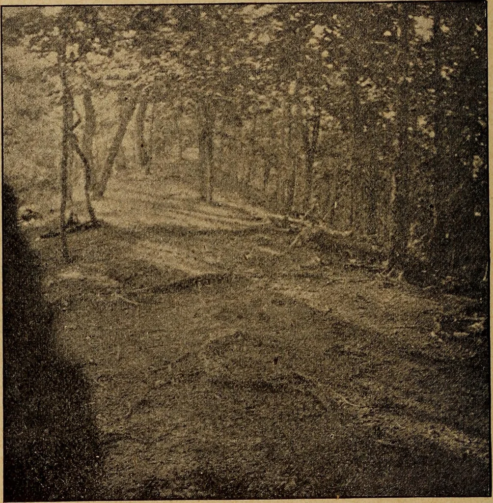 An illustration from Ohio archæological and historical quarterly, 1887, leaf 317