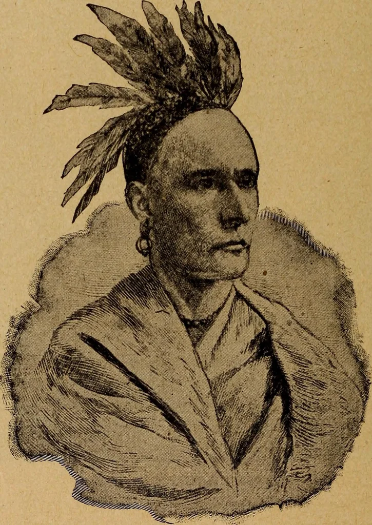 An illustration from Ohio archæological and historical quarterly, 1887, leaf 371