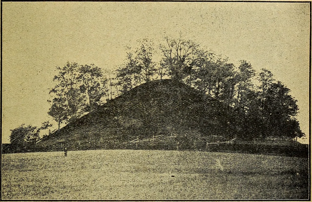 An illustration from Ohio archæological and historical quarterly, 1887, leaf 478