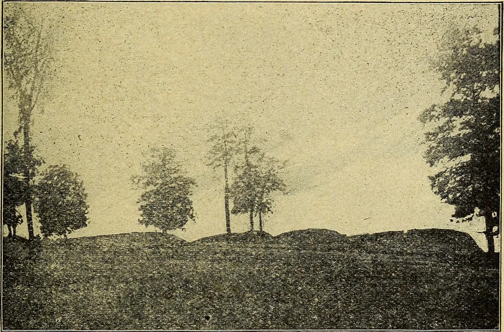An illustration from Ohio archæological and historical quarterly, 1887, leaf 482