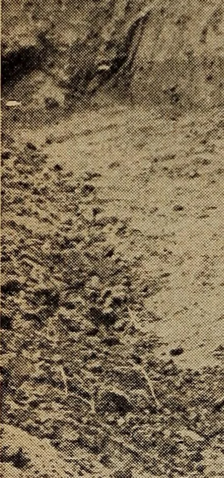 An illustration from Ohio archæological and historical quarterly, 1887, leaf 483