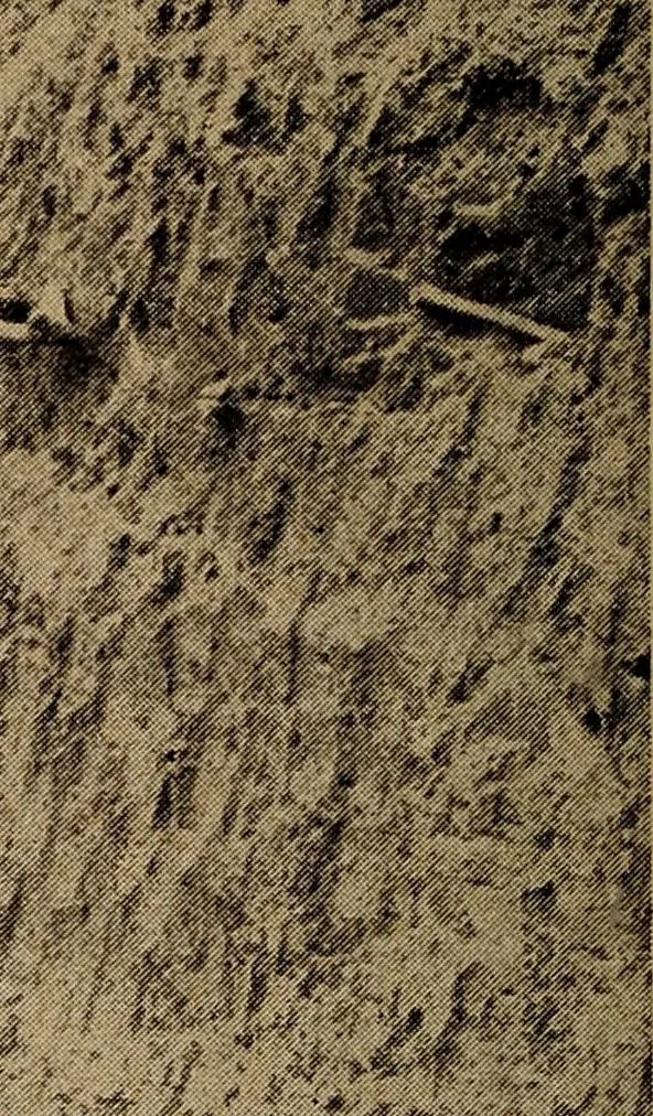 An illustration from Ohio archæological and historical quarterly, 1887, leaf 483