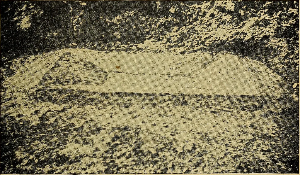 An illustration from Ohio archæological and historical quarterly, 1887, leaf 498