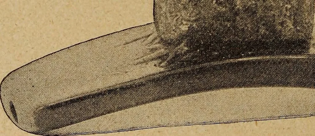 An illustration from Ohio archæological and historical quarterly, 1887, leaf 499