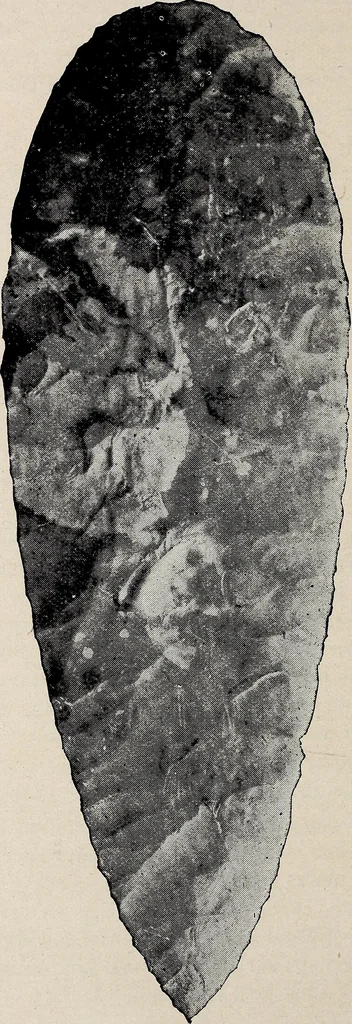 An illustration from Ohio archæological and historical quarterly, 1887, leaf 171