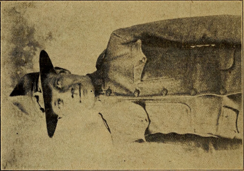 An illustration from Ohio archæological and historical quarterly, 1887, leaf 155