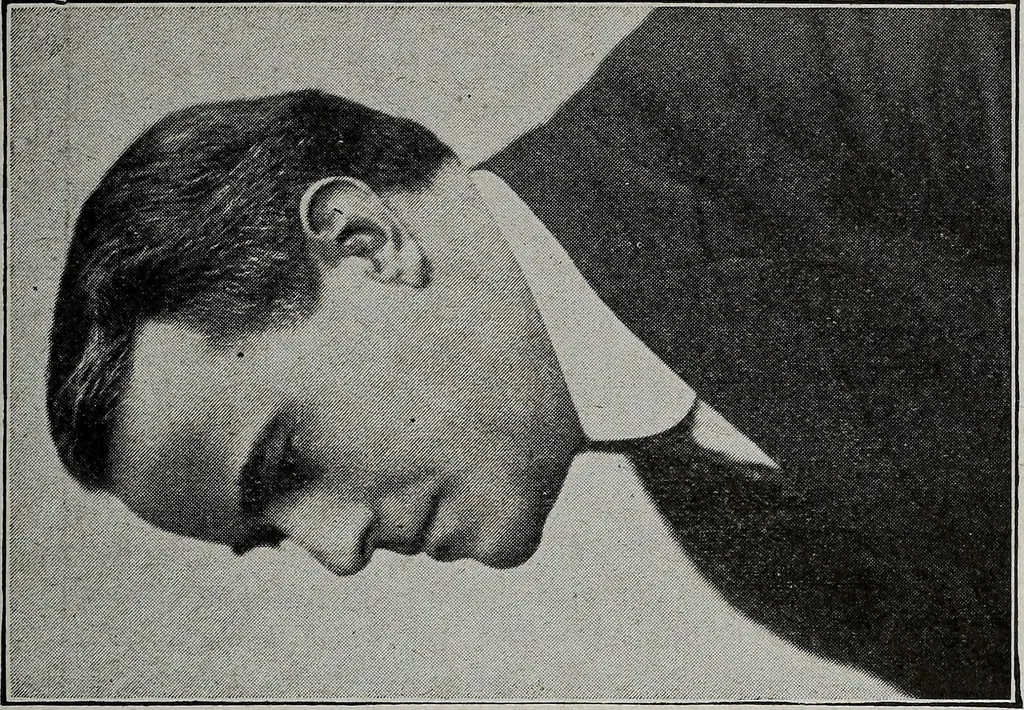 An illustration from Ohio archæological and historical quarterly, 1887, leaf 260