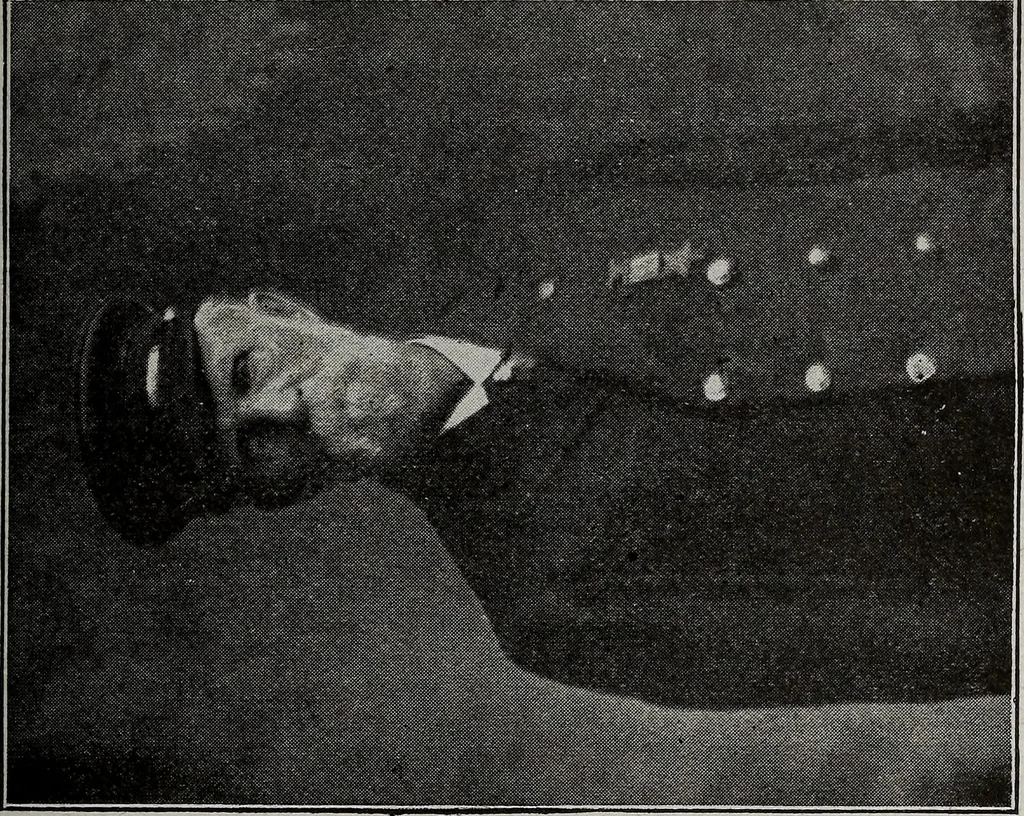 An illustration from Ohio archæological and historical quarterly, 1887, leaf 266