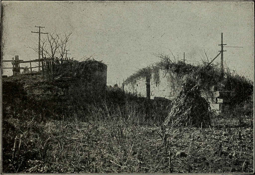 An illustration from Ohio archæological and historical quarterly, 1887, leaf 321