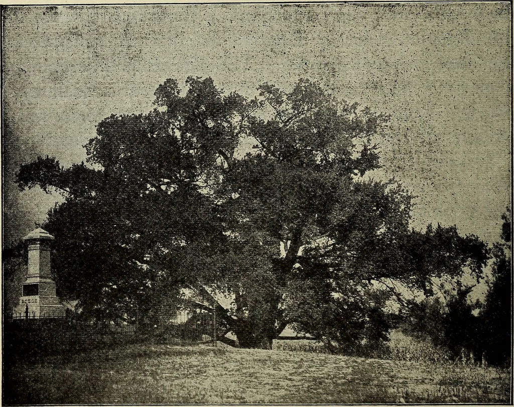 An illustration from Ohio archæological and historical quarterly, 1887, leaf 369