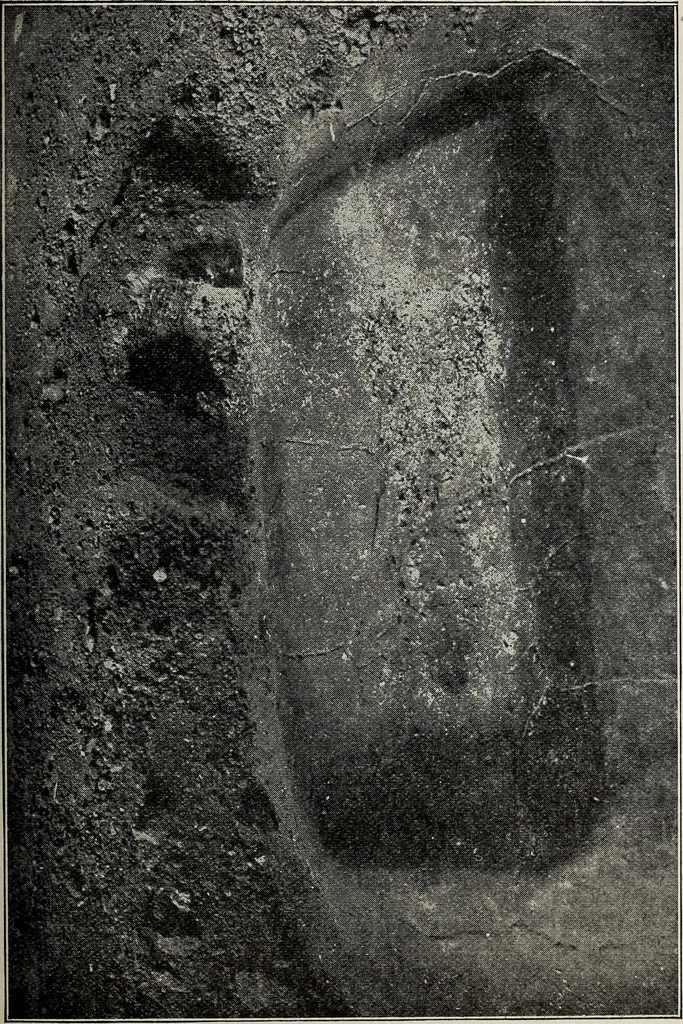 An illustration from Ohio archæological and historical quarterly, 1887, leaf 450
