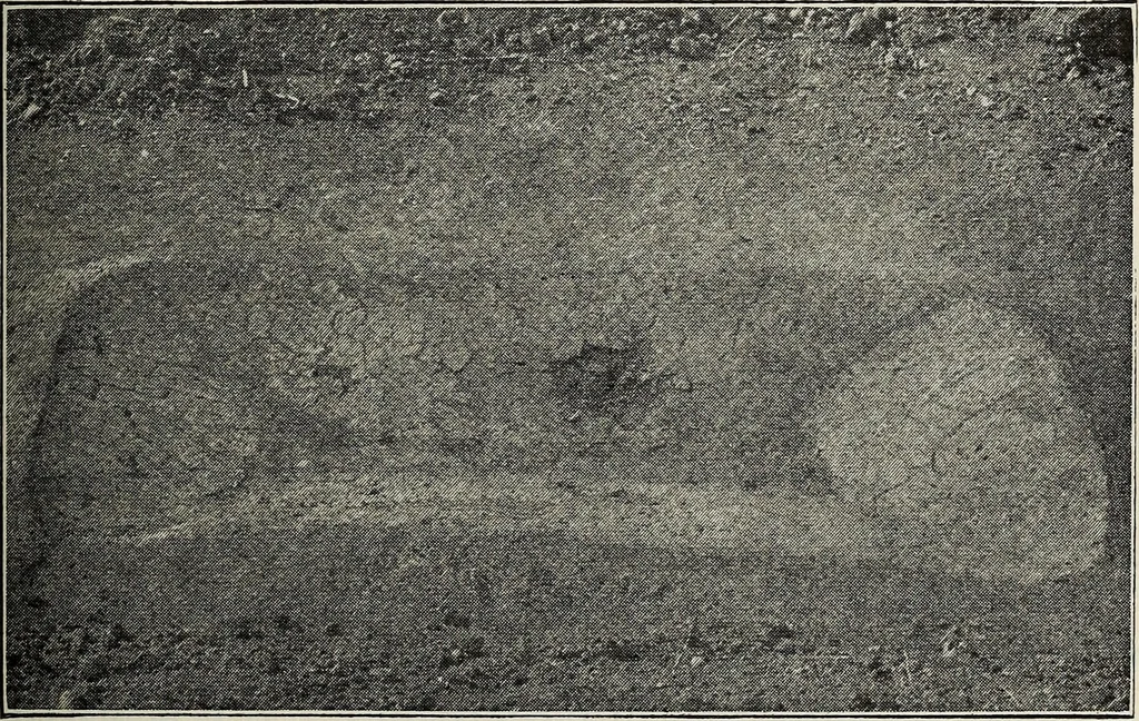 An illustration from Ohio archæological and historical quarterly, 1887, leaf 458