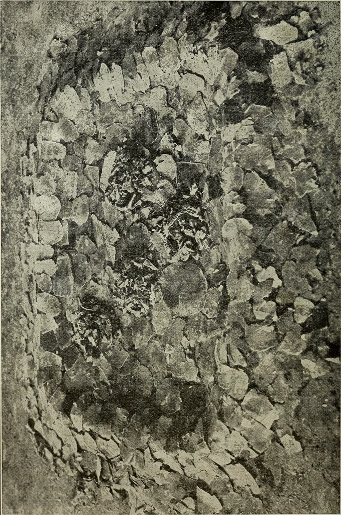 An illustration from Ohio archæological and historical quarterly, 1887, leaf 463