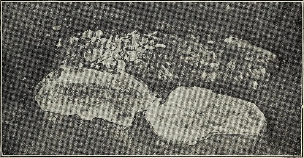 An illustration from Ohio archæological and historical quarterly, 1887, leaf 476