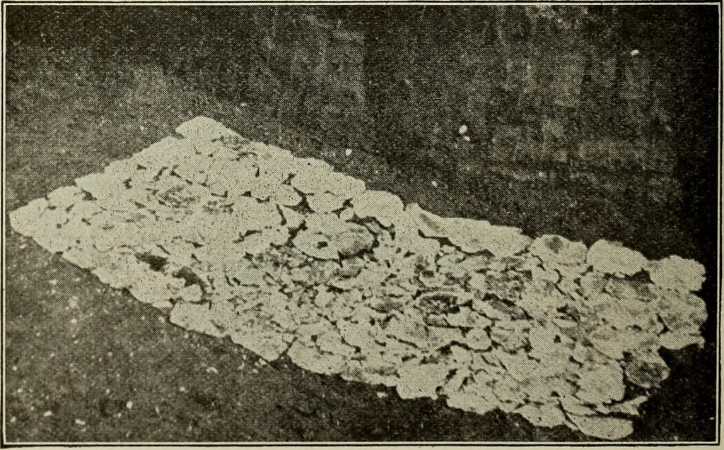 An illustration from Ohio archæological and historical quarterly, 1887, leaf 487