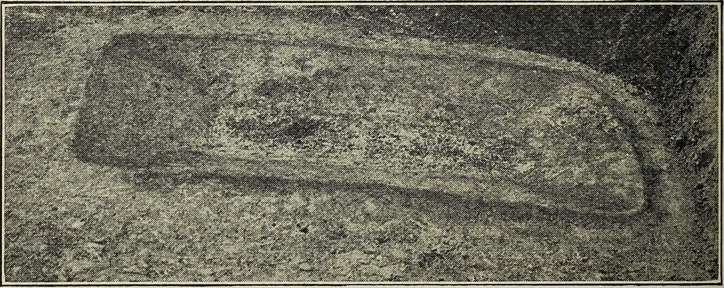 An illustration from Ohio archæological and historical quarterly, 1887, leaf 491