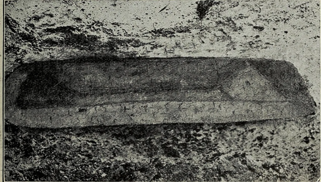 An illustration from Ohio archæological and historical quarterly, 1887, leaf 496