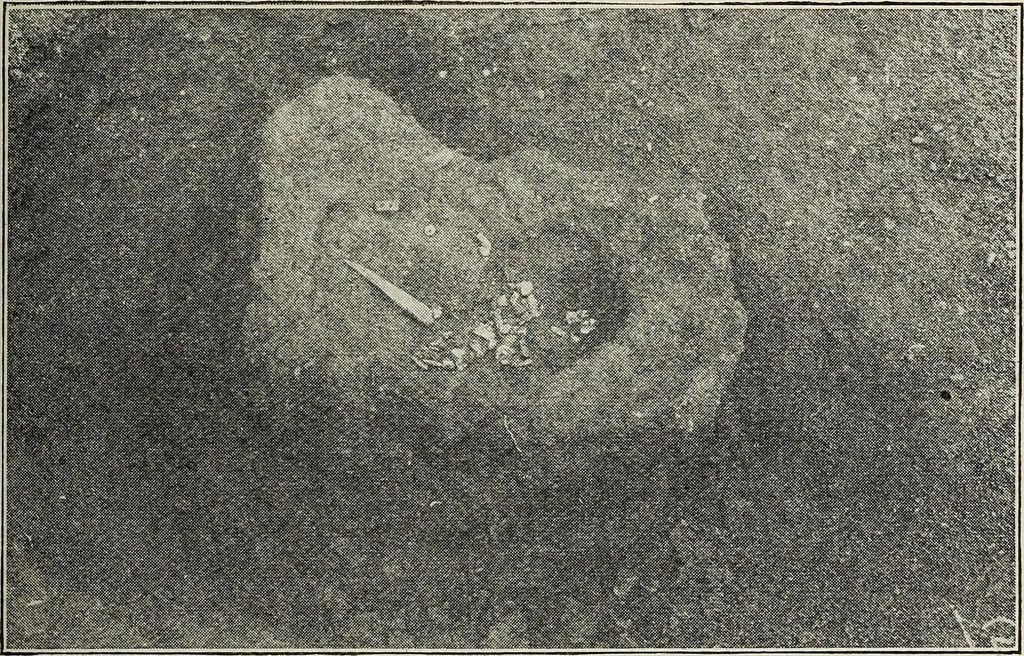An illustration from Ohio archæological and historical quarterly, 1887, leaf 500