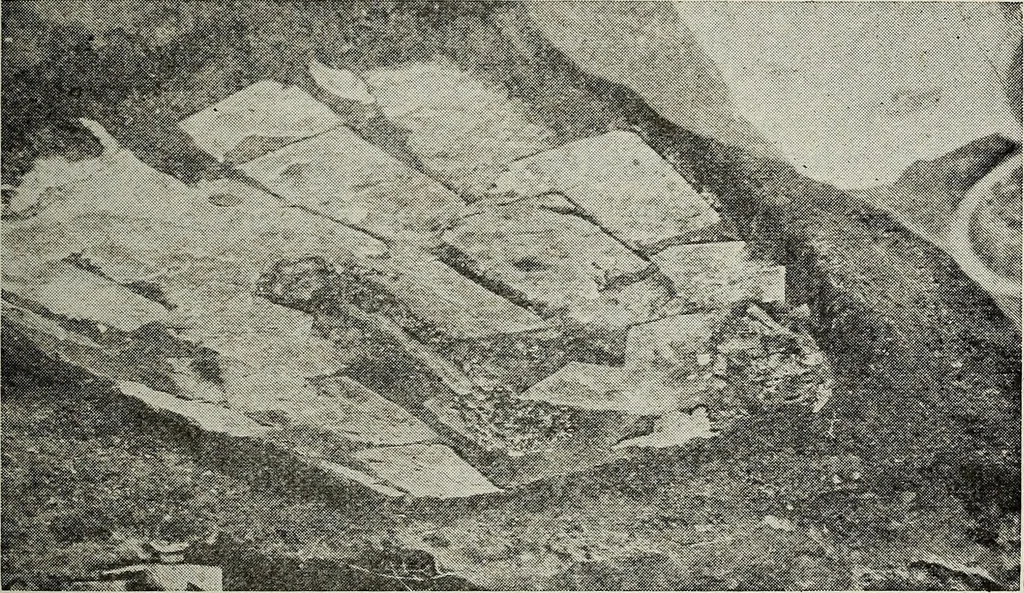 An illustration from Ohio archæological and historical quarterly, 1887, leaf 504