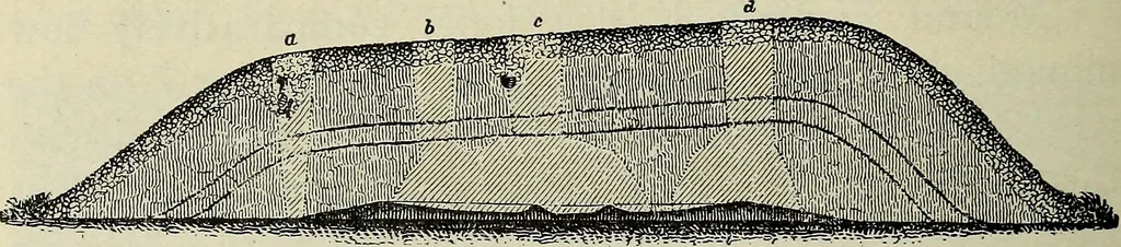 An illustration from Ohio archæological and historical quarterly, 1887, leaf 511