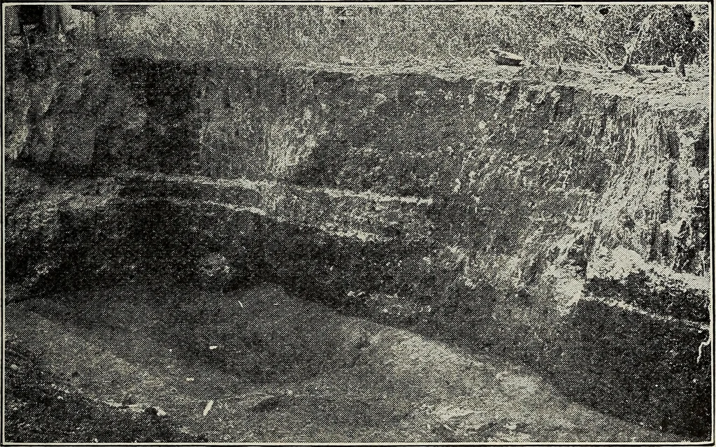 An illustration from Ohio archæological and historical quarterly, 1887, leaf 516