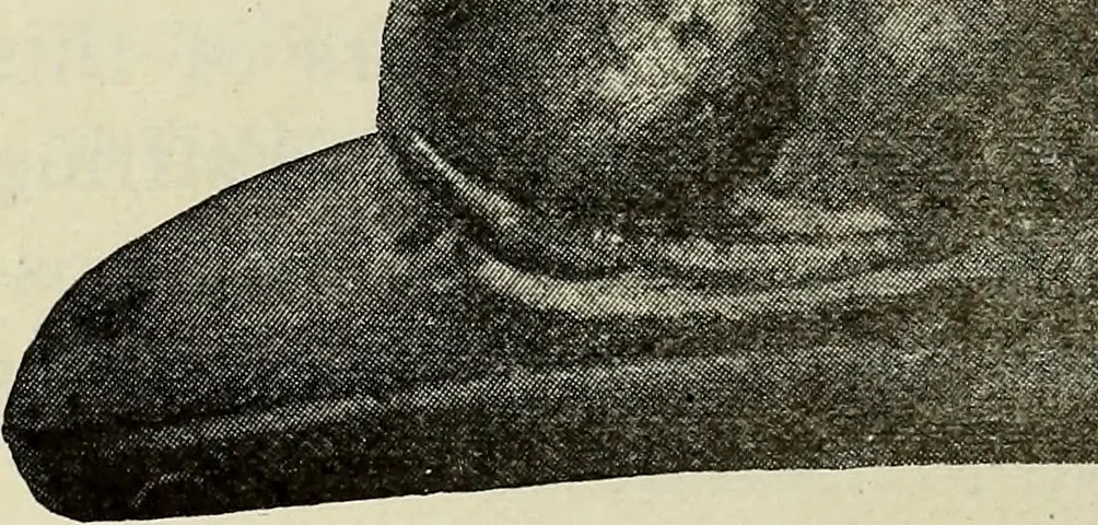 An illustration from Ohio archæological and historical quarterly, 1887, leaf 529