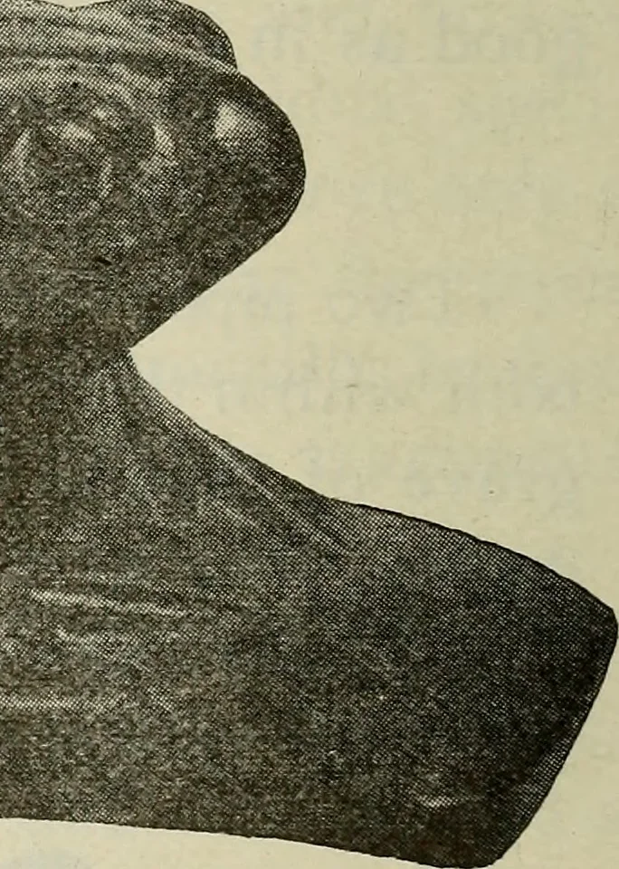 An illustration from Ohio archæological and historical quarterly, 1887, leaf 529