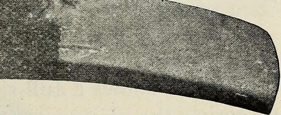 An illustration from Ohio archæological and historical quarterly, 1887, leaf 530