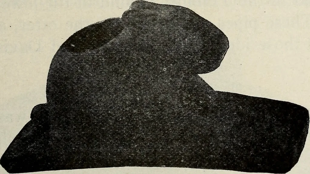 An illustration from Ohio archæological and historical quarterly, 1887, leaf 532