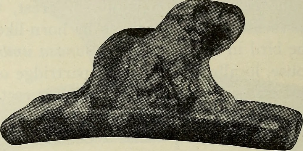 An illustration from Ohio archæological and historical quarterly, 1887, leaf 533