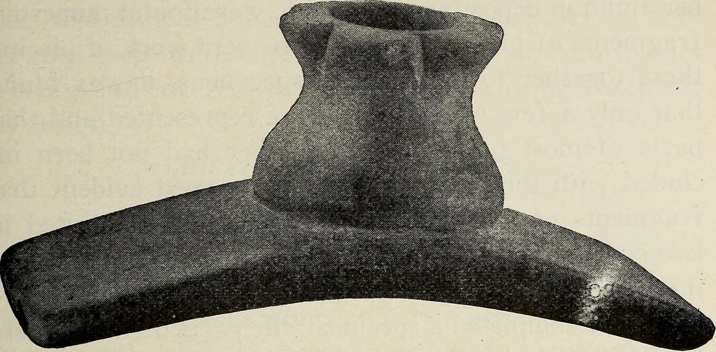 An illustration from Ohio archæological and historical quarterly, 1887, leaf 534