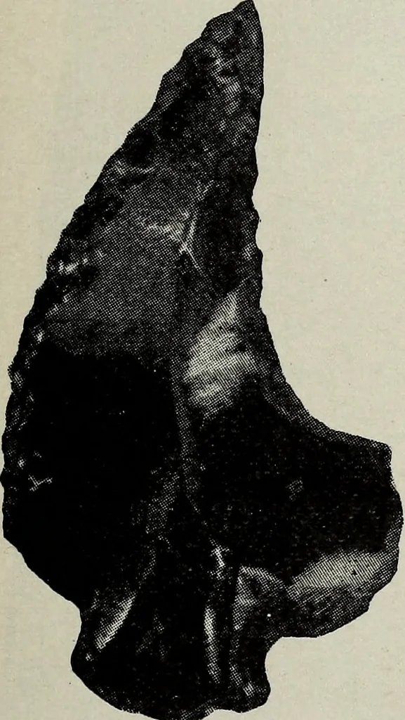 An illustration from Ohio archæological and historical quarterly, 1887, leaf 540
