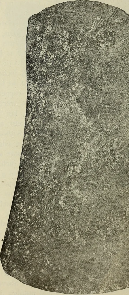 An illustration from Ohio archæological and historical quarterly, 1887, leaf 541