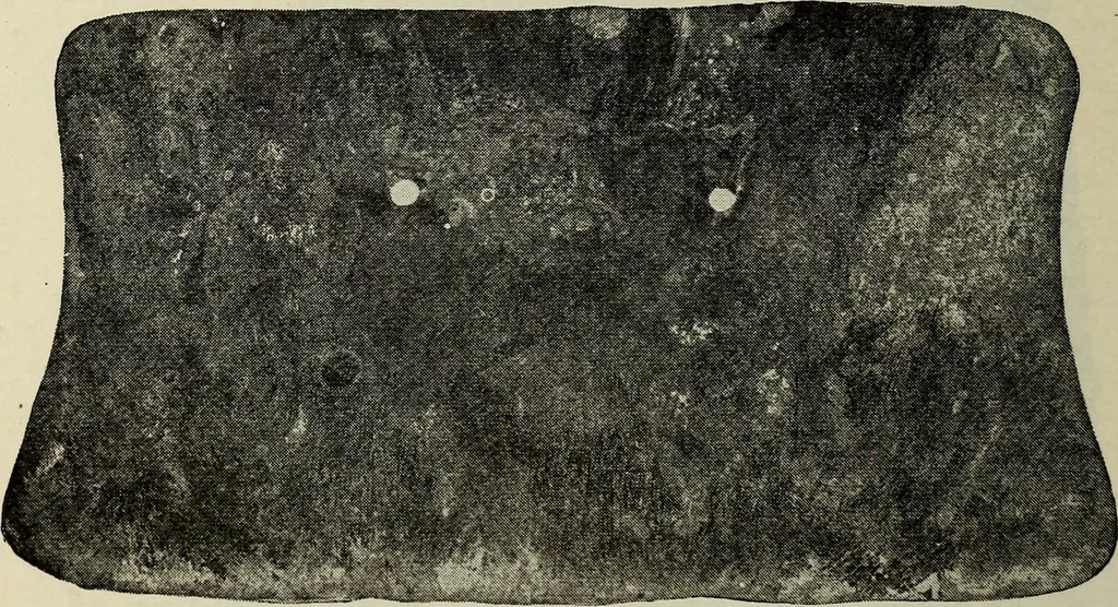 An illustration from Ohio archæological and historical quarterly, 1887, leaf 543