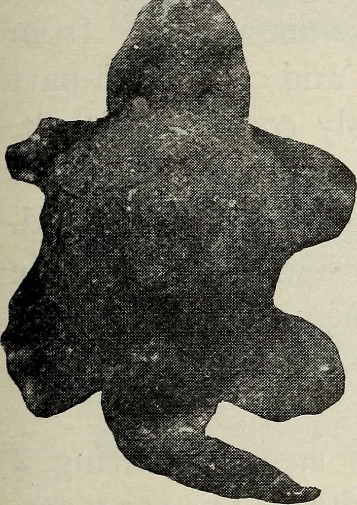 An illustration from Ohio archæological and historical quarterly, 1887, leaf 562