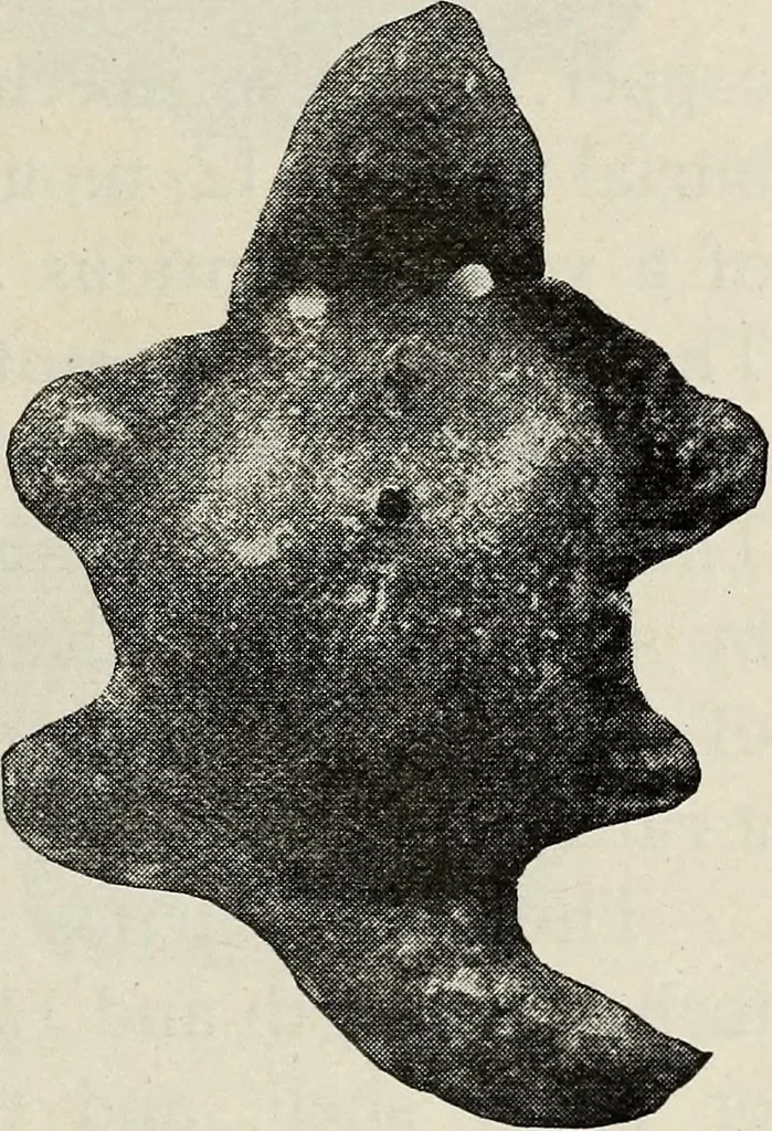 An illustration from Ohio archæological and historical quarterly, 1887, leaf 562