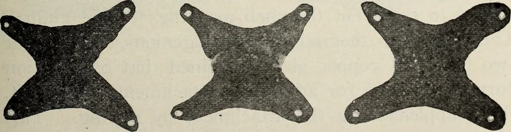 An illustration from Ohio archæological and historical quarterly, 1887, leaf 562