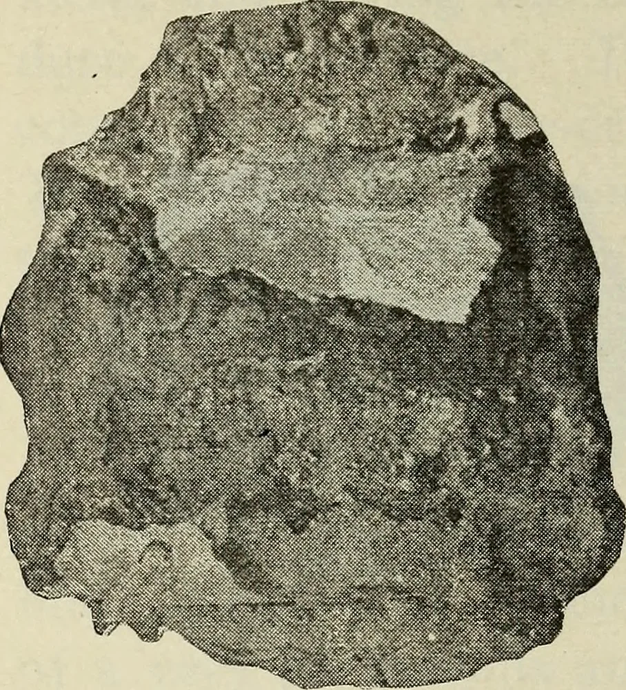 An illustration from Ohio archæological and historical quarterly, 1887, leaf 565