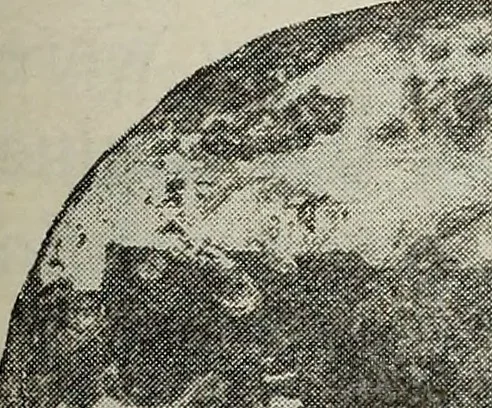 An illustration from Ohio archæological and historical quarterly, 1887, leaf 568