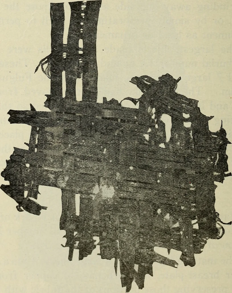 An illustration from Ohio archæological and historical quarterly, 1887, leaf 573