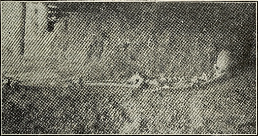 An illustration from Ohio archæological and historical quarterly, 1887, leaf 582