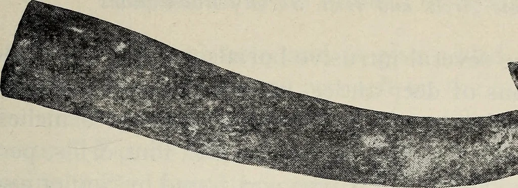 An illustration from Ohio archæological and historical quarterly, 1887, leaf 588