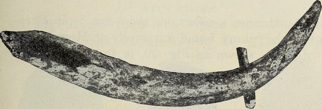 An illustration from Ohio archæological and historical quarterly, 1887, leaf 588