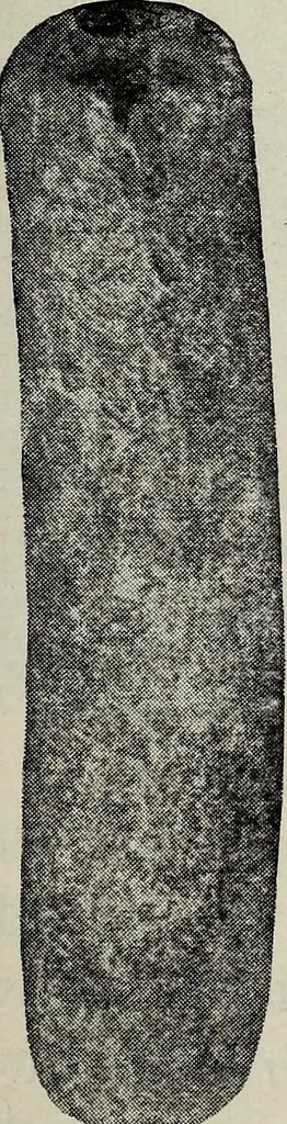 An illustration from Ohio archæological and historical quarterly, 1887, leaf 588