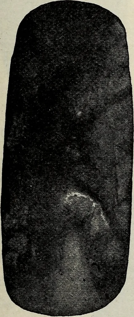 An illustration from Ohio archæological and historical quarterly, 1887, leaf 590