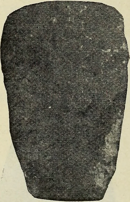 An illustration from Ohio archæological and historical quarterly, 1887, leaf 591